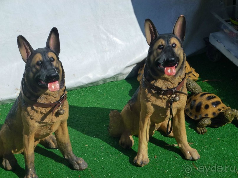 Наш отдых в САНМЕРРИ ( Бельдиби)