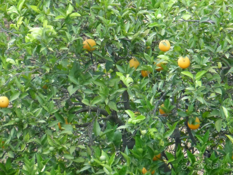 Наш отдых в САНМЕРРИ ( Бельдиби)