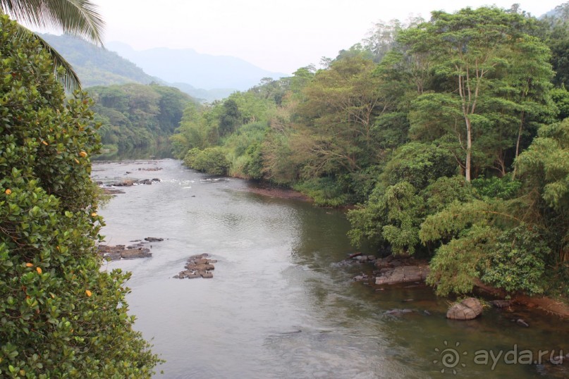 Шри Ланка - супер!!!!