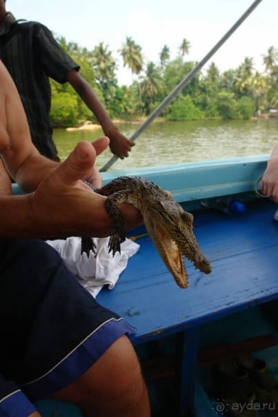 Шри Ланка - супер!!!!