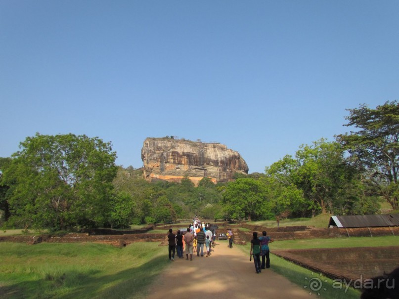Шри Ланка - супер!!!!