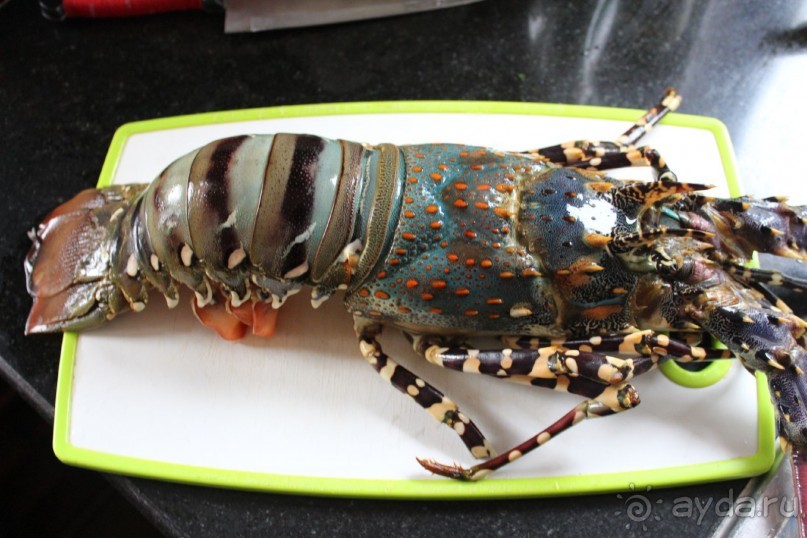 Шри Ланка - супер!!!!