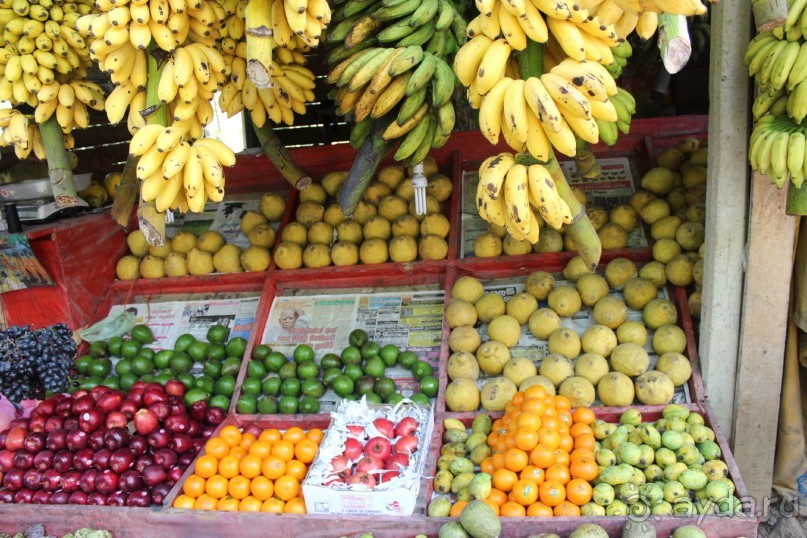 Шри Ланка - супер!!!!