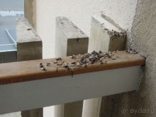 фото Ялта-Интурист