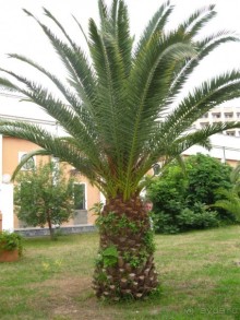 Прекрасный отдых!