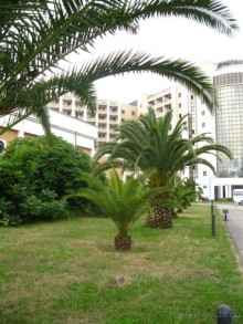 Прекрасный отдых!