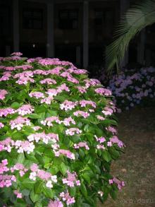 Прекрасный отдых!