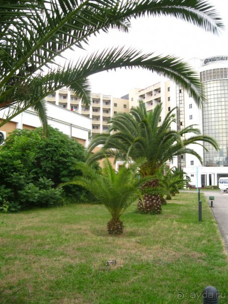 Прекрасный отдых!