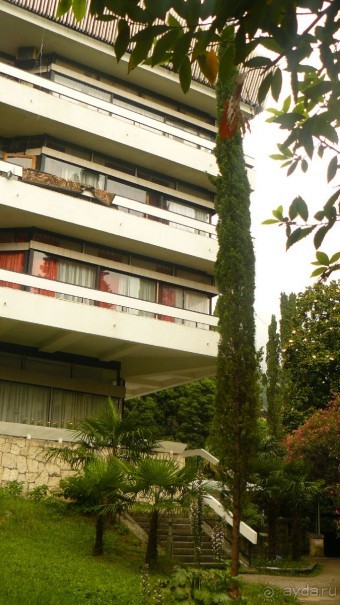 Ступеньки к парку