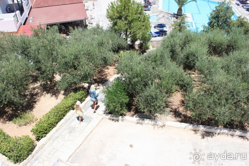 вид с номера