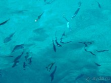 Райский уголок!