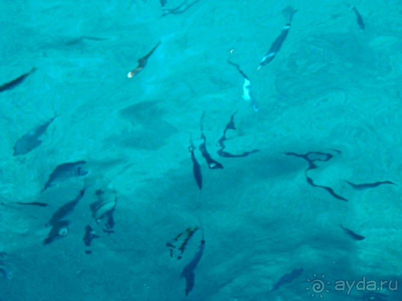 Райский уголок!