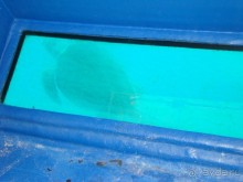 Остались очень довольны