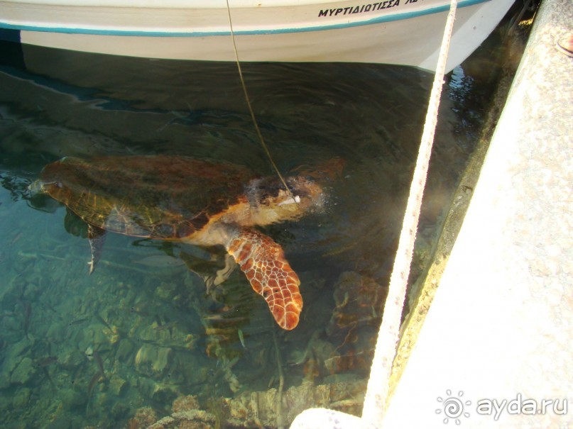 Остались очень довольны