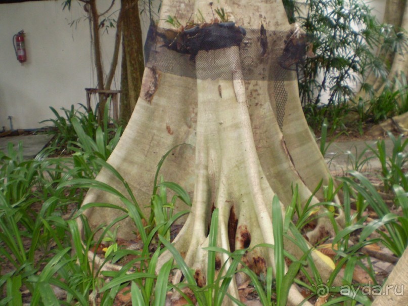 Чудесный отель!!!!!