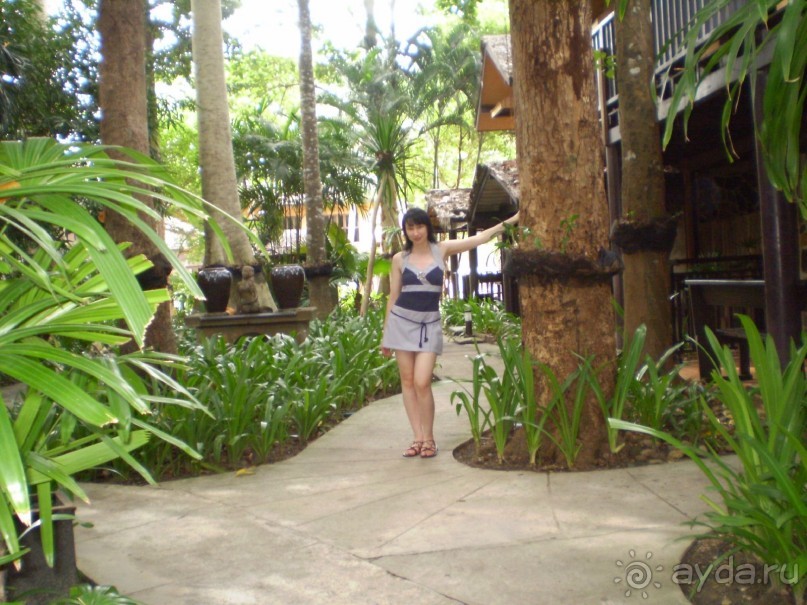 Чудесный отель!!!!!