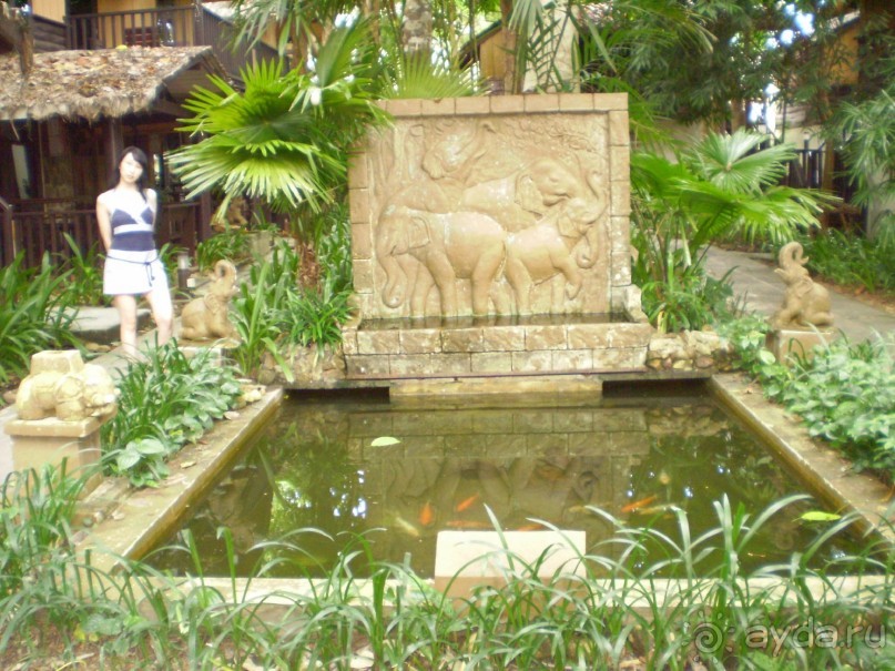 Чудесный отель!!!!!