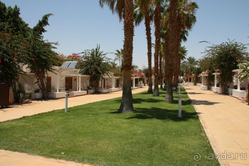 "Анапа" в Египте