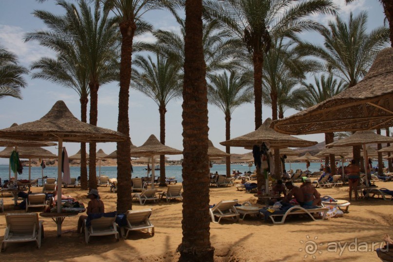 фото FUN&SUN SMART Seti Sharm 