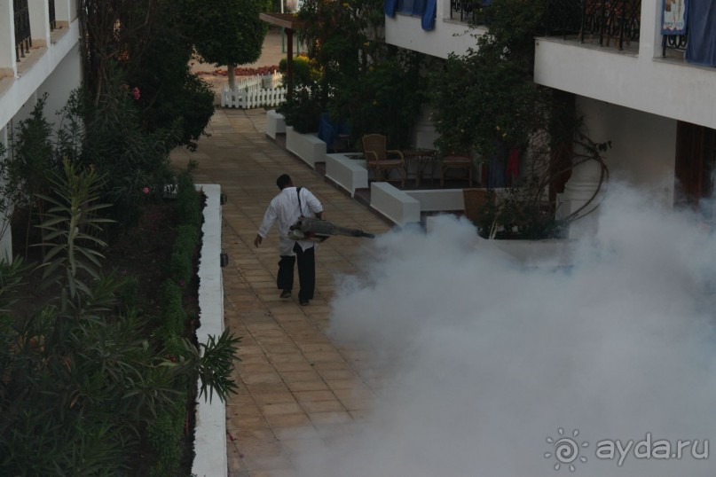 фото FUN&SUN SMART Seti Sharm 