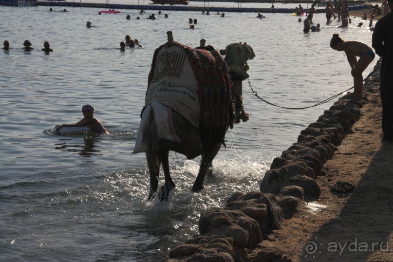 фото FUN&SUN SMART Seti Sharm 