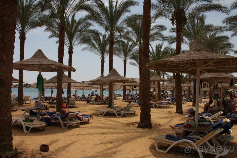 фото FUN&SUN SMART Seti Sharm 