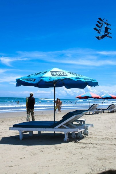 Альбом отзыва "Лагерь на Бали"