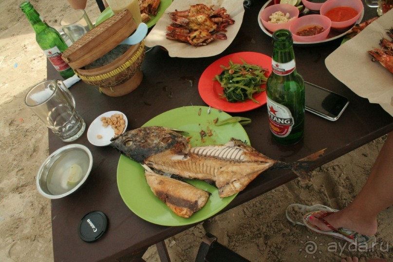 Альбом отзыва "Лагерь на Бали"