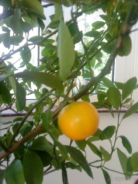 Гавана - райский уголок.