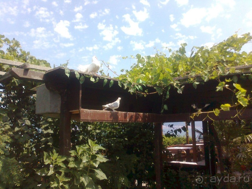 Убогий отель