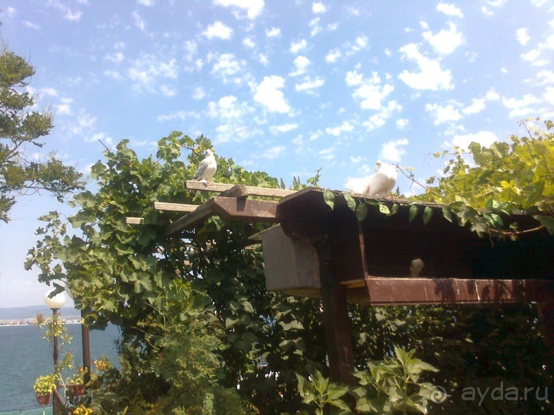 Убогий отель