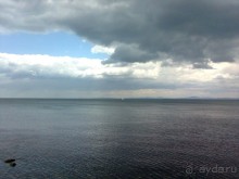 фото Кондор (Condor)