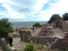 фото Кондор (Condor)