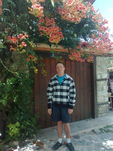 фото Кондор (Condor)