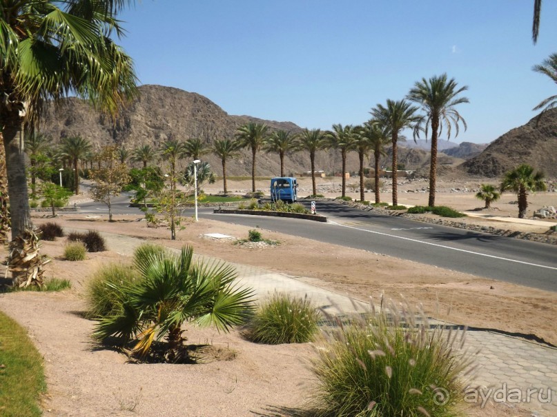 Очень понравилось! Рекомендую