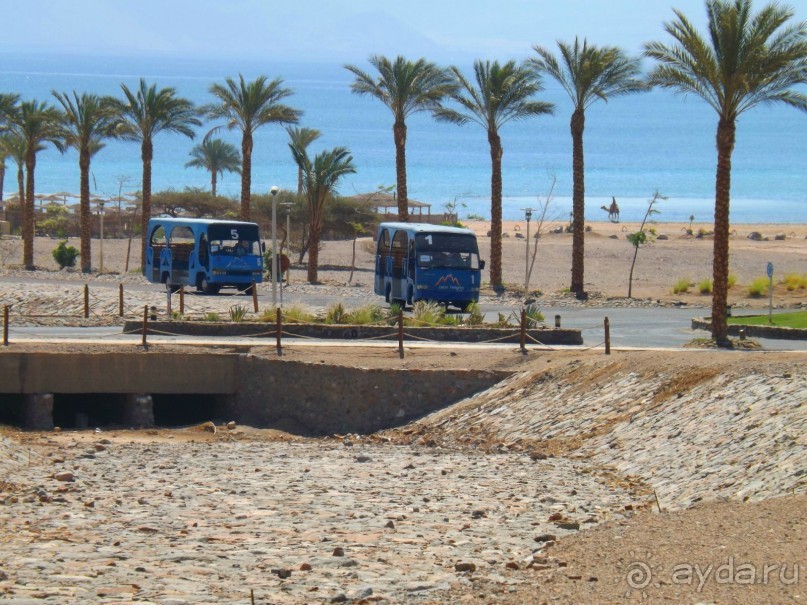 Очень понравилось! Рекомендую