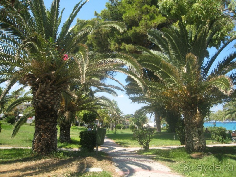 Лучший отель в Ханиоти! 