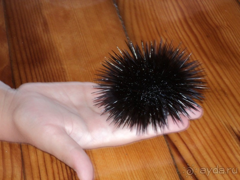 отпуск удался!!!