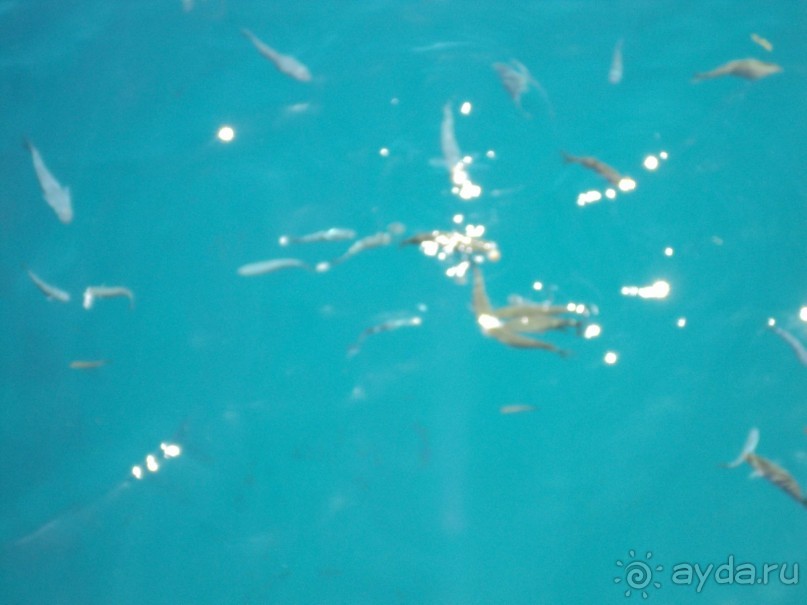 отпуск удался!!!