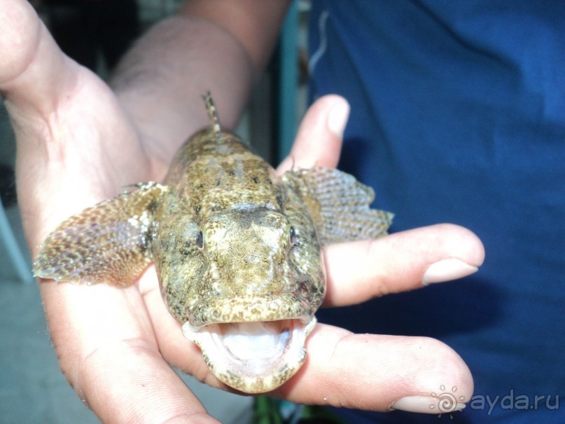 отпуск удался!!!