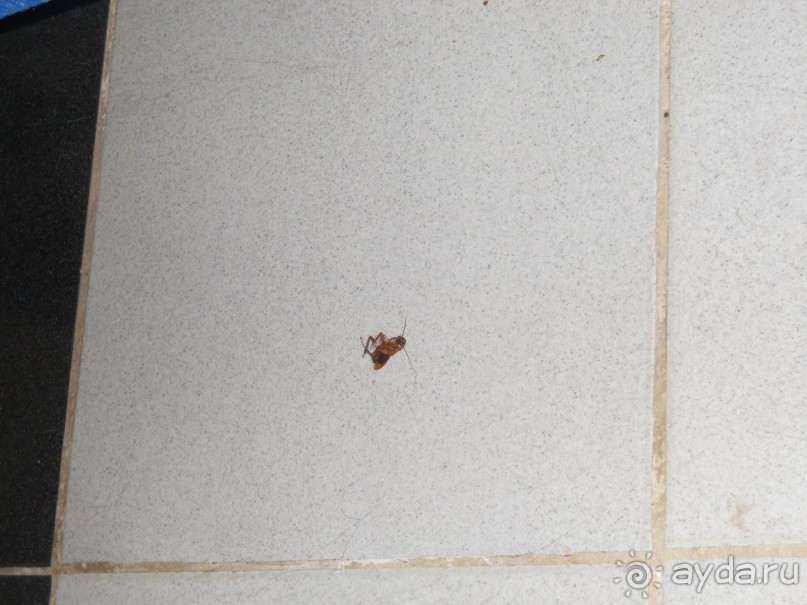 Просто ужас!