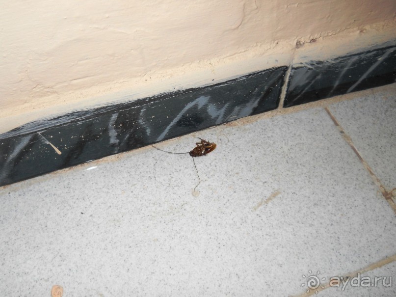 Просто ужас!