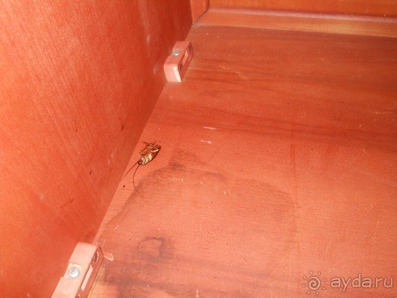 Просто ужас!