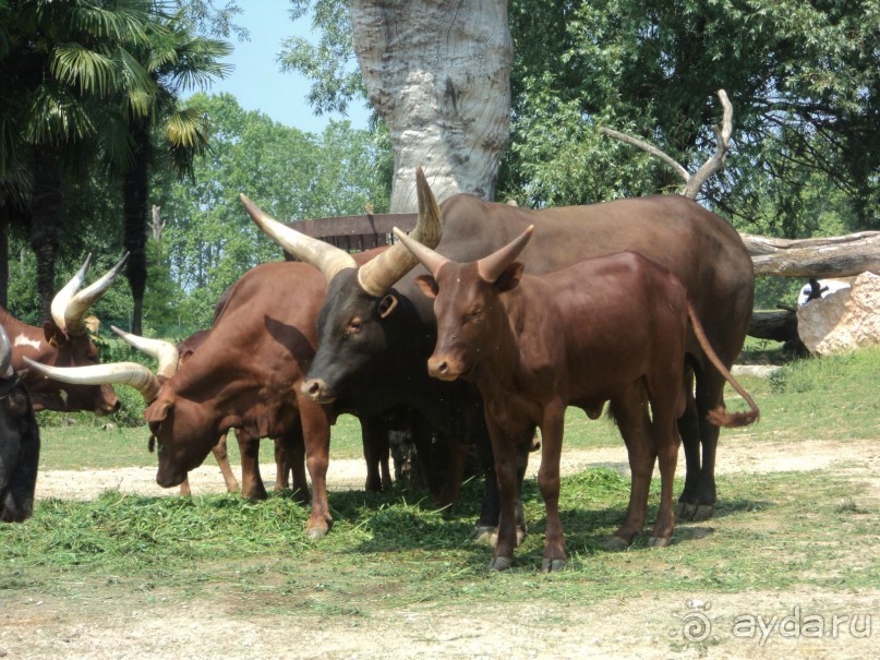 Путешествие по Италии