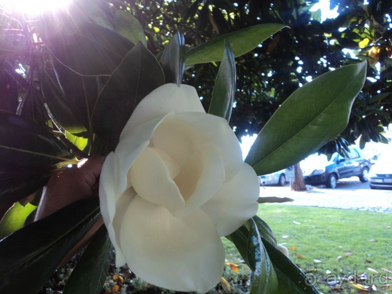 Путешествие по Италии