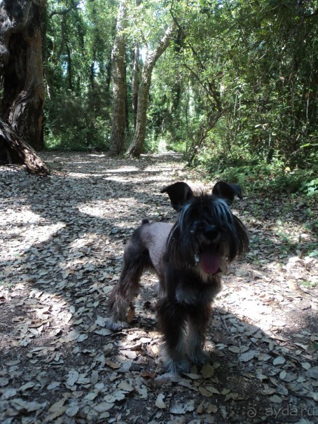 Путешествие по Италии