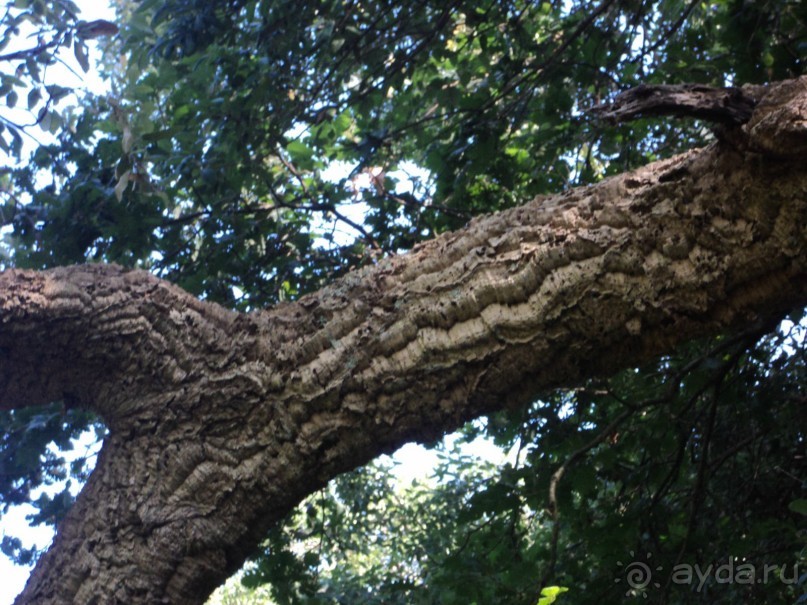 Путешествие по Италии