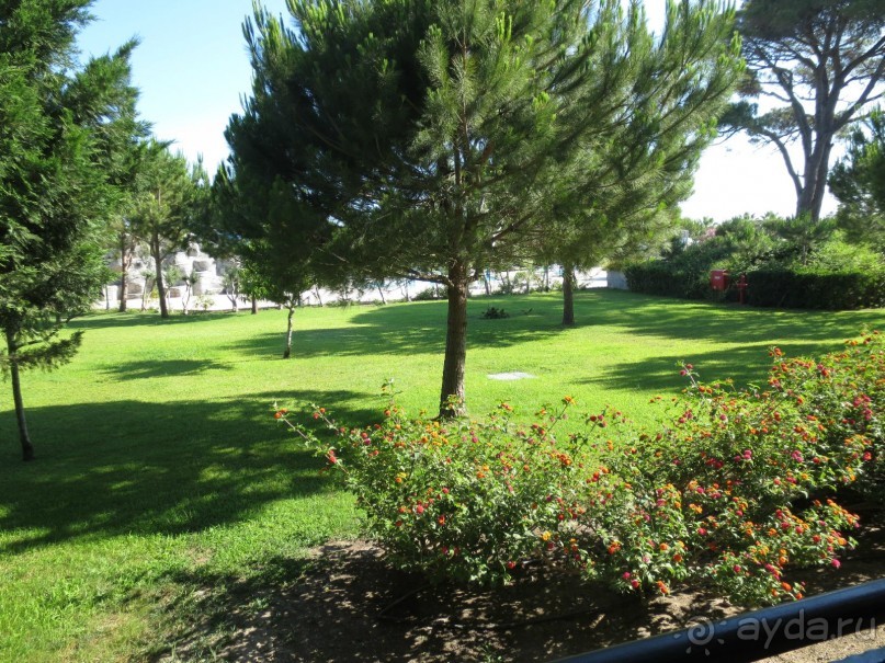 Отель оказался великолепным