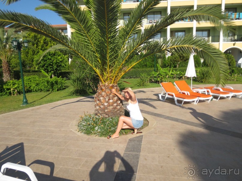 Отель оказался великолепным