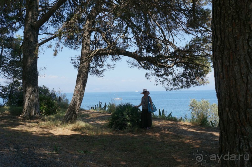 Отличный,тихий и недорогой отель.